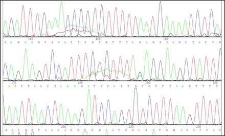 Figure 2. High Accuracy Sequencing