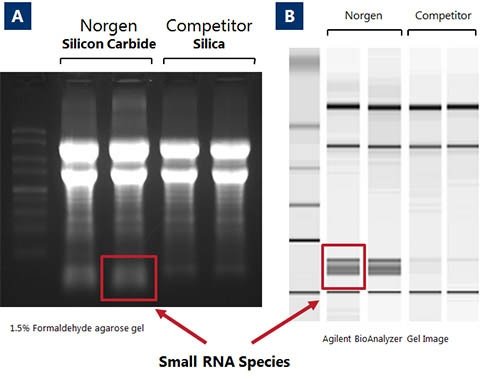 Figure 1. High Quality of Isolated RNA with Complete Size Range.