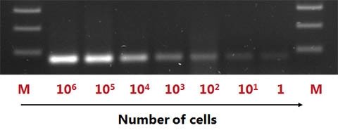 Figure 4. Great Isolation Sensitivity.