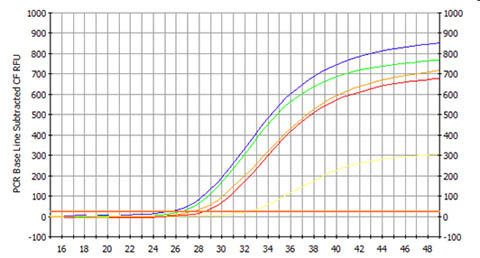 Figure 2. Isolation and Detection of DNA from 1.75 mL Urine Samples