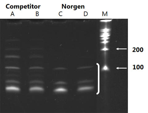 Figure 1. microRNA Purification Kit 