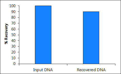 Figure 2.  High DNA Recovery