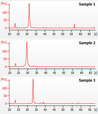 Figure 5. Effective Clean-Up to Produce High Quality RNA Transcripts Compatible to Bioanalyzer Analysis