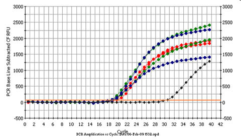 Figure 2.  High Quality DNA