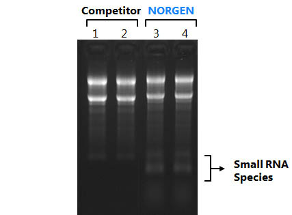 Figure 1. Animal Tissue RNA Purification Kit 