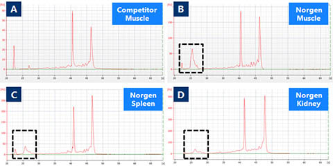 Figure 2. Animal Tissue RNA Purification Kit 