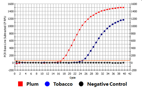 Figure 2.  High Quality DNA