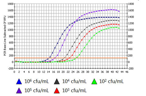 Figure 2.  High Quality DNA 