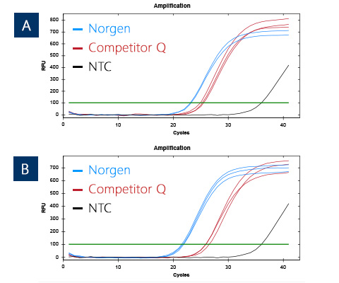 Figure 3. Detection of 16S rRNA from stool DNA