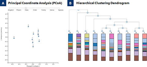 Figure 4.  Taxonomic Classifications of 10 Fecal Microbiomes.