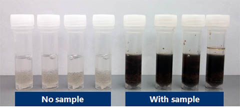 Figure 2.  Preserved Fecal Samples