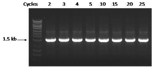 Figure 2.  Highly Stable