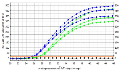 Figure 2.  Amplification of DNA by Real-Time PCR