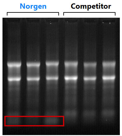 Fatty Tissue RNA Purification Kit Figure 1