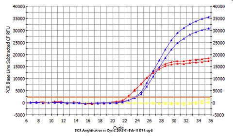 Figure 2.  High Yield of a Diversity of RNA Species