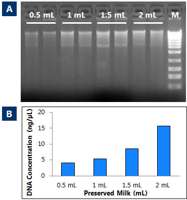 Figure 1. Stability of DNA