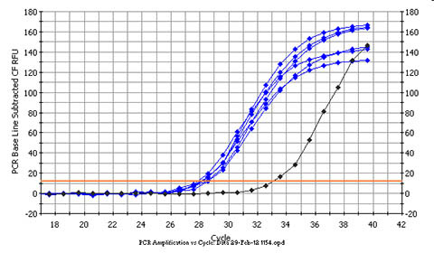 Figure 2.  Detection of Bacterial RNA