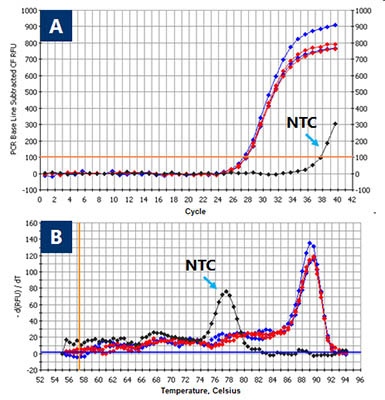 Figure 4.  Detection of Human DNA