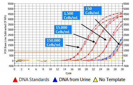 Figure 1. Isolation and Detection of Human DNA from 1 mL Urine