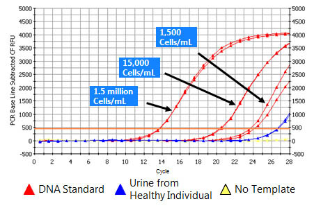 Figure 2.  Isolation and Detection of Bacterial DNA from 1 mL Urine