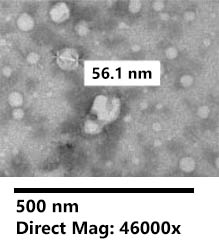 Figure 7. Urine Exosome RNA Isolation Kit