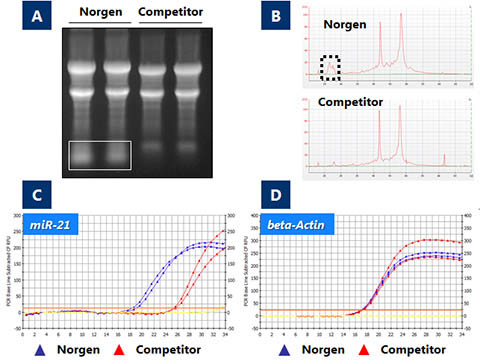 RNA/DNA/Protein Purification Plus Kit Figure 2