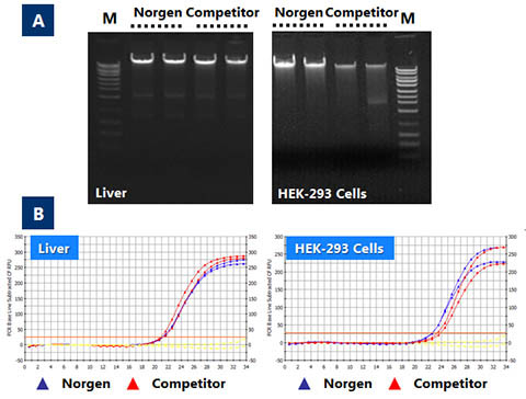 RNA/DNA/Protein Purification Plus Kit Figure 3