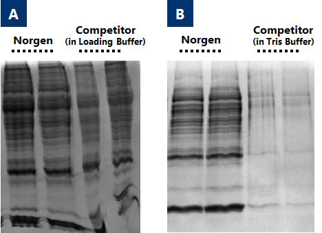 RNA/DNA/Protein Purification Plus Kit Figure 4