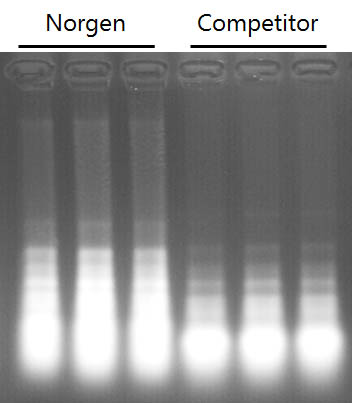 Figure 1. Stool Total RNA Purification Kit