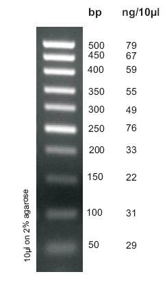 50 bp DNA Ladder Figure 1