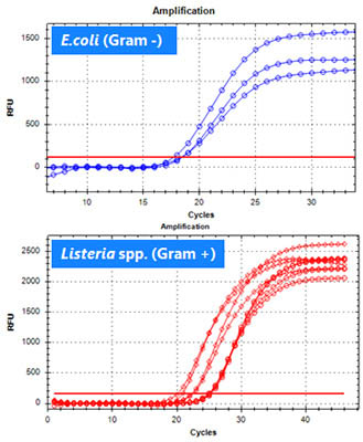 Figure 1. Detection of bacteria in real-time PCR system.