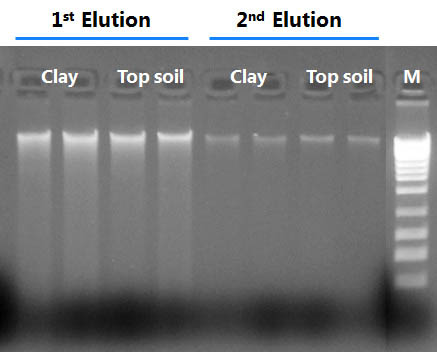 Elution