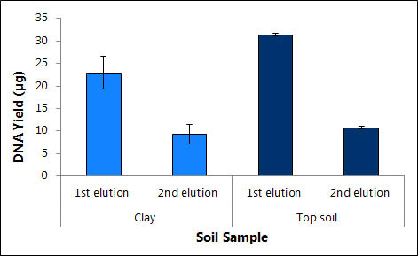 Soil Sample