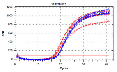 Cycles