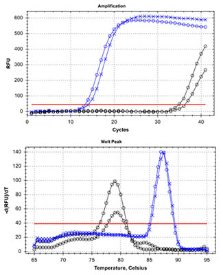 Biofilm DNA Isolation Kit Figure 3