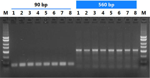 Figure 2. Efficient Clean-Up and Recovery