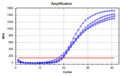 Figure 7. High Soil DNA Quality 