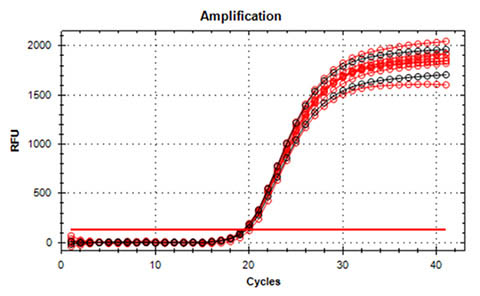 Figure 6. High Quality DNA Confirmed by Real-time PCR