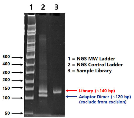 Figure 2. Small RNA Library Prep Kit for Illumina 