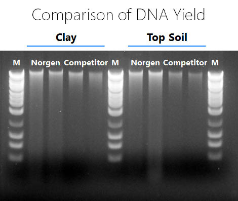 Soil DNA Isolation Plus Kit Figure 1