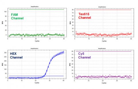 HLVd/LCV/CanCV TaqMan RT-PCR Kit Figure 2