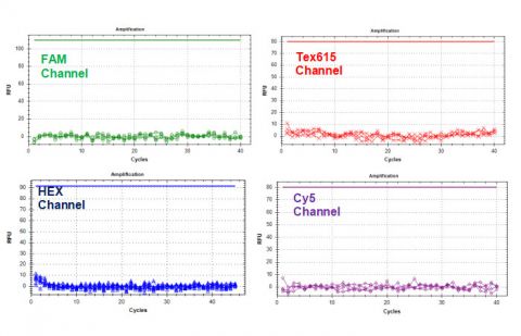 HLVd/LCV/CanCV TaqMan RT-PCR Kit Figure 3