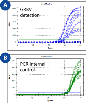 Figure 1. Duplex TaqMan RT-PCR analytical sensitivity for each of the SARS-CoV-2 targets based on Charité/Berlin protocol.