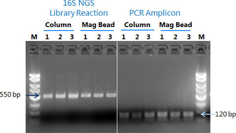 Figure 1. Efficient Clean-Up and Recovery