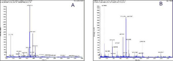 Figure 1. Generation of Tryptic BSA Peptides without any Artifacts. 