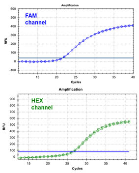 Figure 1. H1N1 TaqMan PCR Kit 