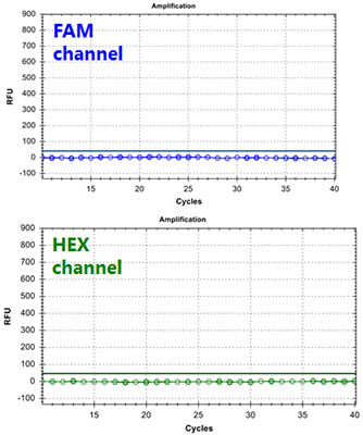 Figure 3. HBV TaqMan PCR Kit 