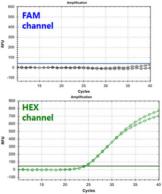 RSV-A TaqMan PCR Kit Figure 2