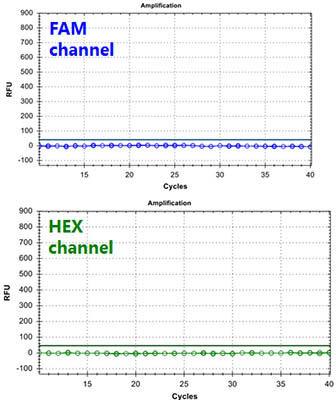 RSV-A TaqMan PCR Kit Figure 3