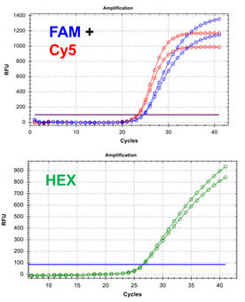 E.coli O157:H7 TaqMan PCR Kit Figure 1